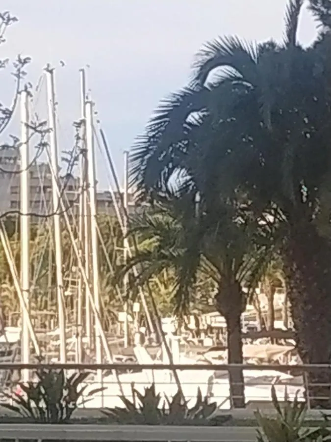 Studio Rez De Jardin Marina Baie Des Anges Villeneuve-Loubet Apartment