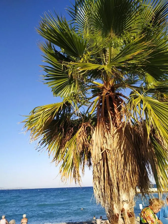 Studio Rez De Jardin Marina Baie Des Anges Villeneuve-Loubet Διαμέρισμα